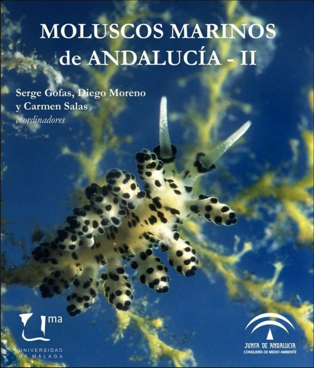 moluscos marinos de andaluca i - ii