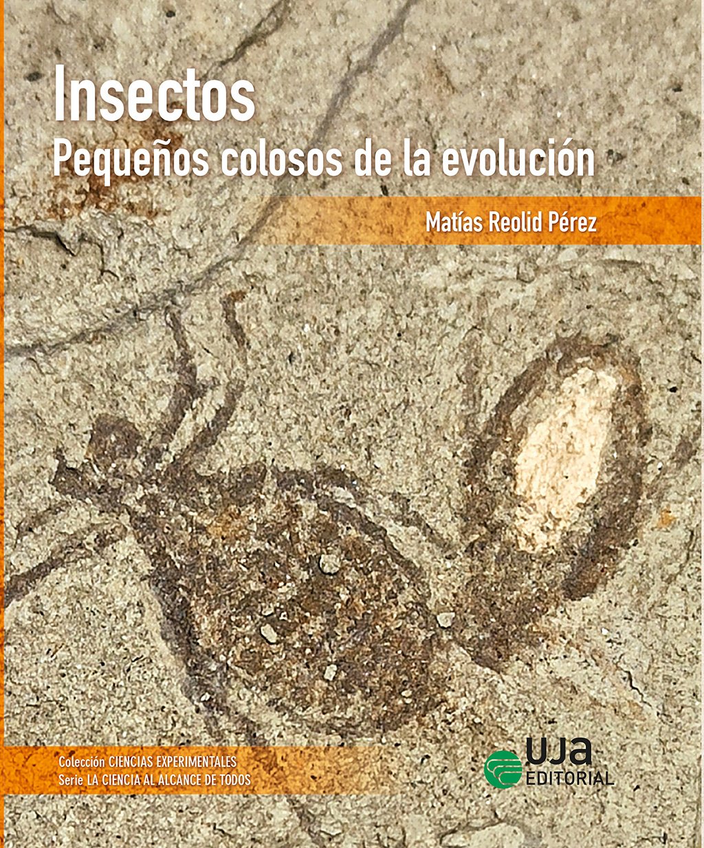 insectos: pequeos colosos de la evolucin