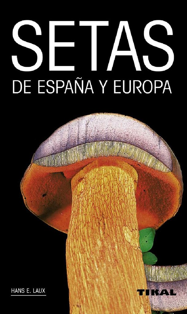 setas de espaa y europa