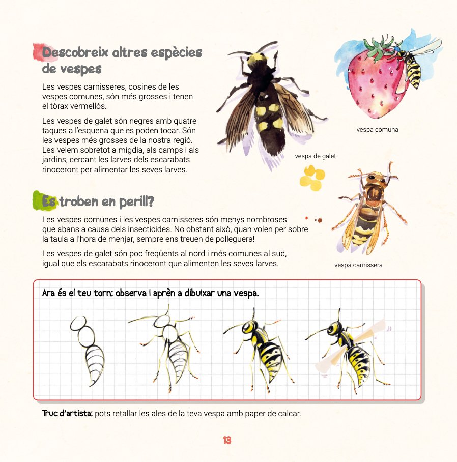 descobreixo les bestioles i aprenc a reconxer-les