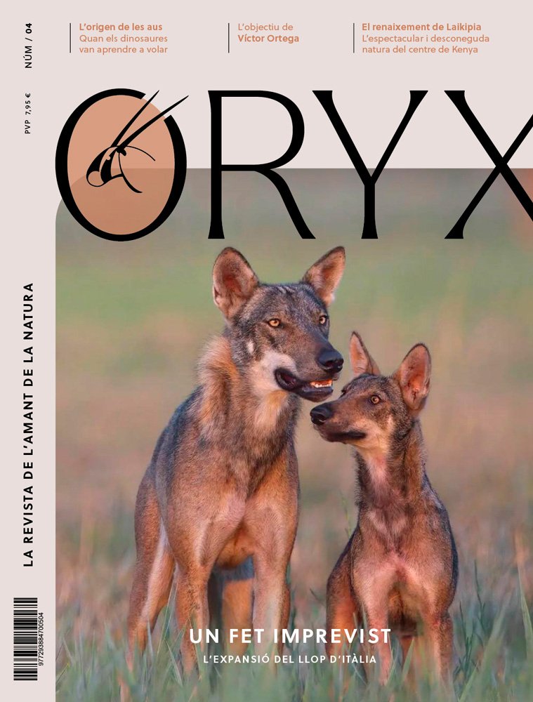 oryx, la revista de l'amant de la natura. nmero 04. versi impresa en catal.
