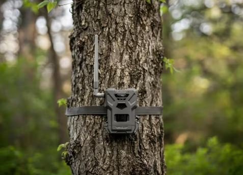 cmara de trampeo spypoint flex m 28 mp con led negros de luz infrarroja invisible y transmisin de foto y vdeo va 4g