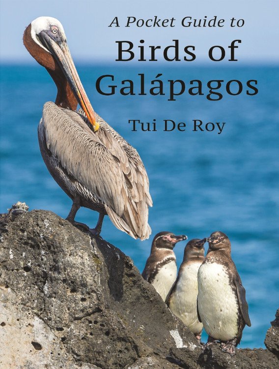 a pocket guide to birds of galpagos
