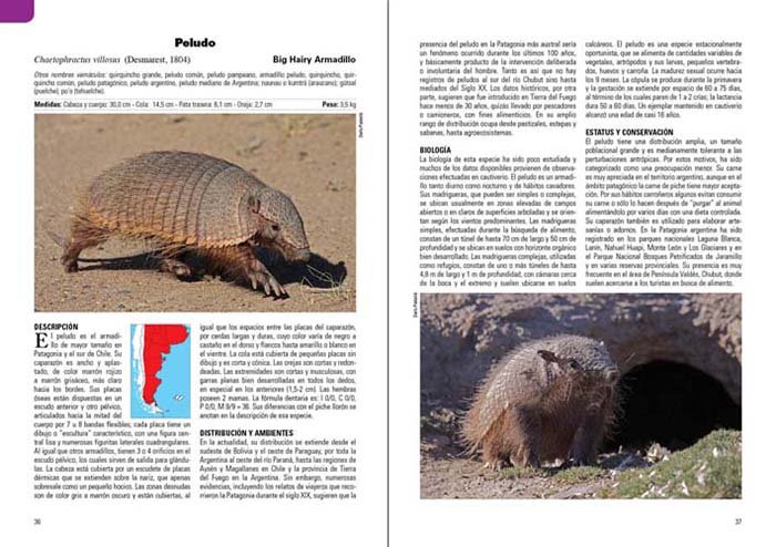 mamferos terrestres patagonia sur de argentina y chile