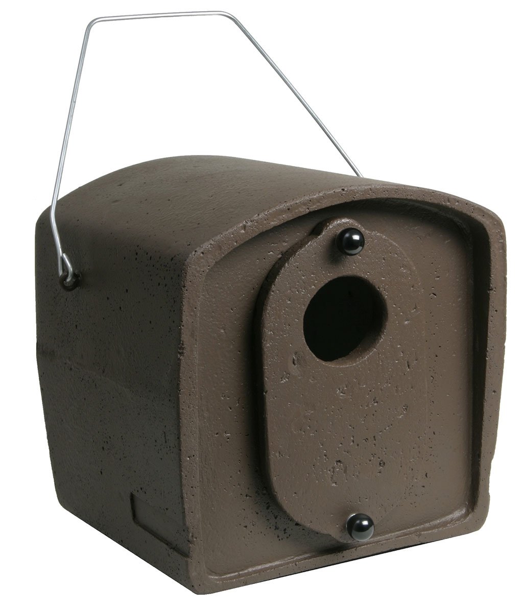 n 29 caja nido para grajilla