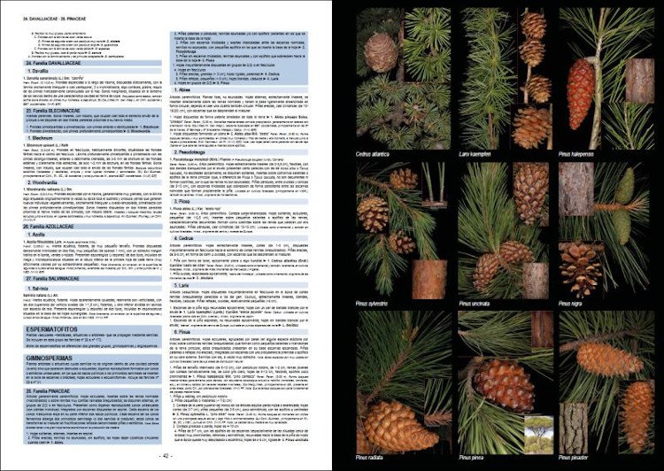 plantas silvestres de espaa peninsular. gua fotogrfica y claves para su identificacin