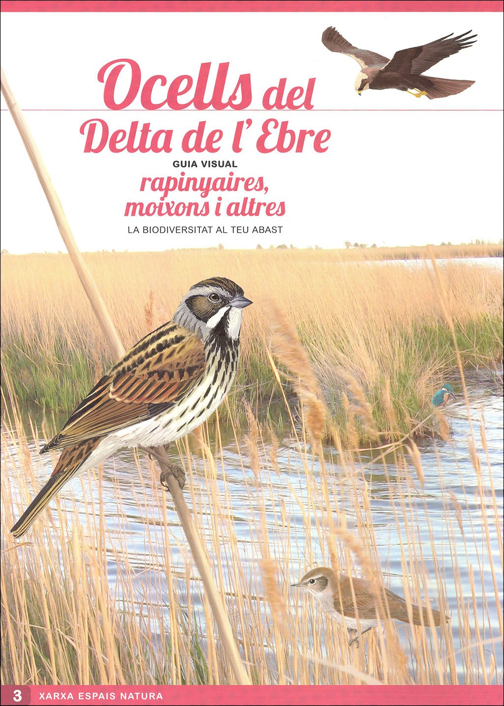 ocells del delta de l'ebre. guia visual (sis desplegables de diferent temtica)