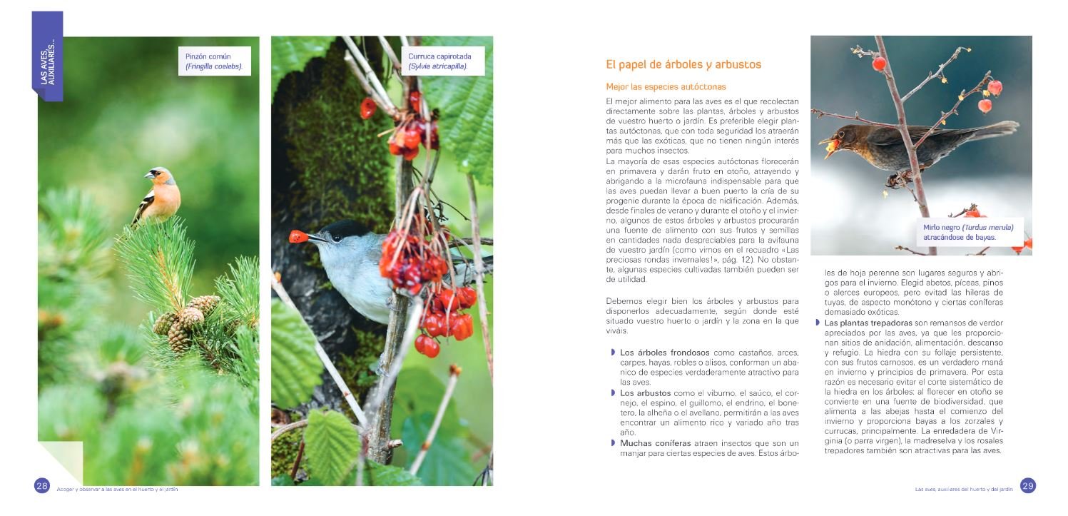 acoger y observar a las aves en el huerto y el jardn