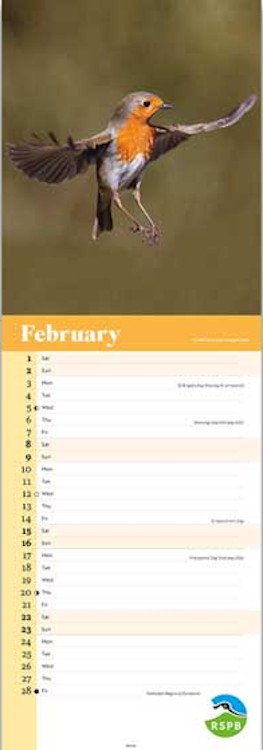 calendario alargado petirrojo rspb robin calendar 2025