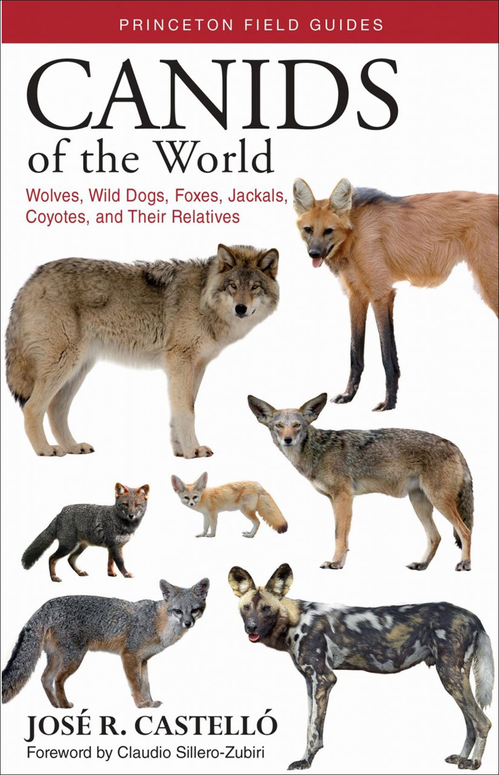 canids of the world. wolves, wil dogs, foxes, jackals, coyotes, and their relatives