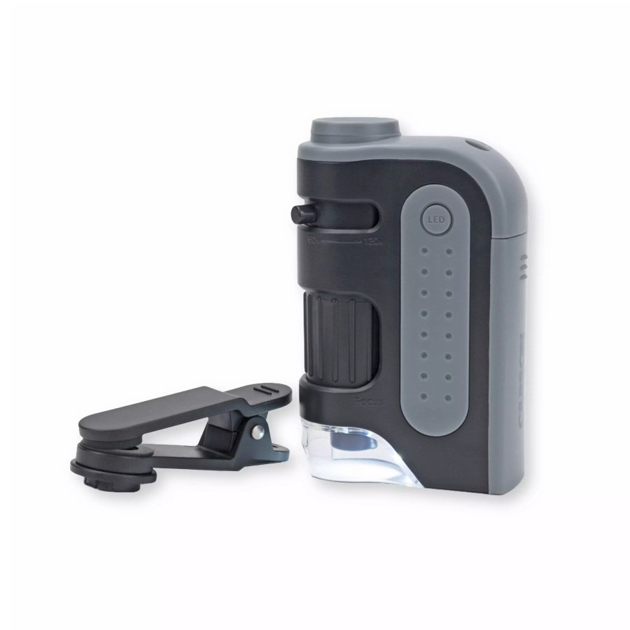 carson kit microscopio de bolsillo microbrite pro 60-120x + adaptador digiscoping
