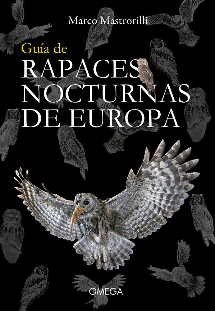 gua de rapaces nocturnas de europa