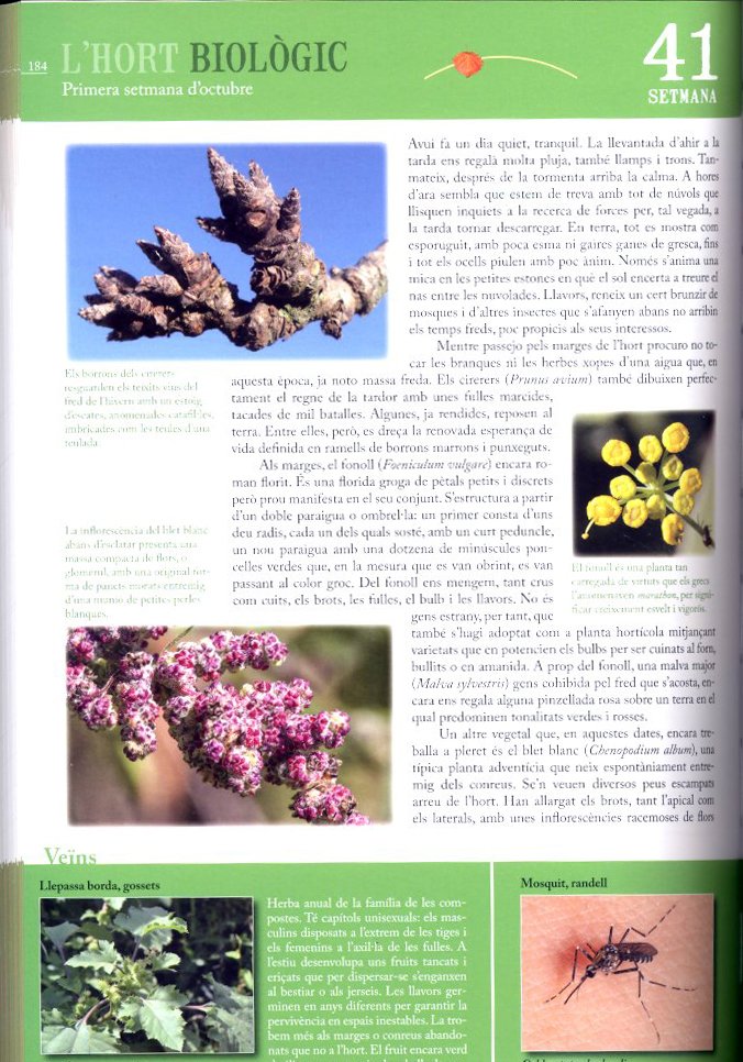 l'hort biolgic. com construir i gaudir d'un ecosistema ple de vida