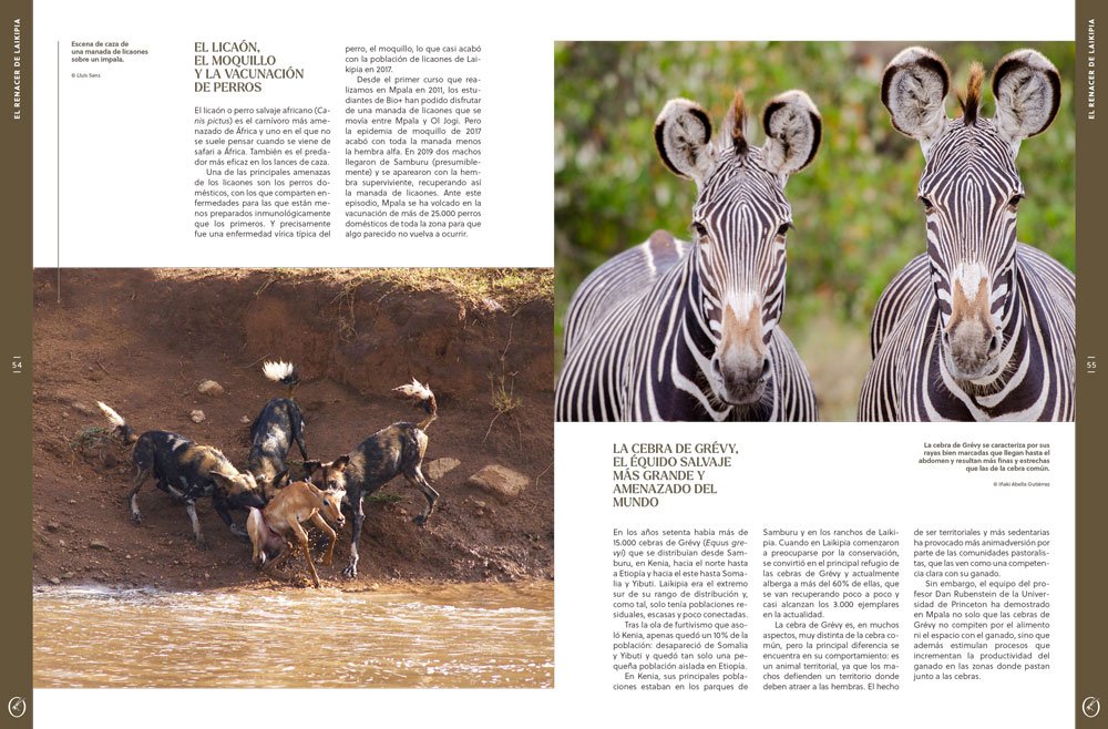 oryx, la revista del amante de la naturaleza. nmero 04. versin impresa en castellano.