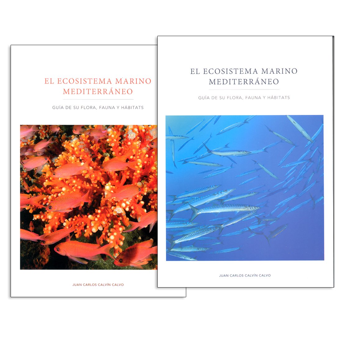 el ecosistema marino mediterrneo. gua de su flora, fauna y hbitats