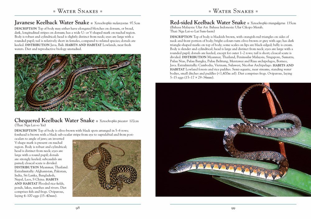 a naturalist's guide to the snakes of southeast asia 3 edition