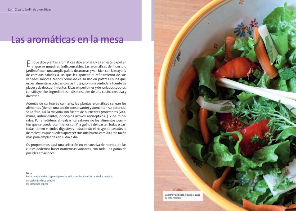 crea tu jardn de aromticas