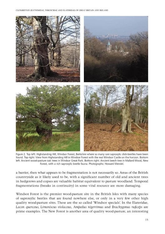 click-beetles of great britain and ireland. an atlas and natural history