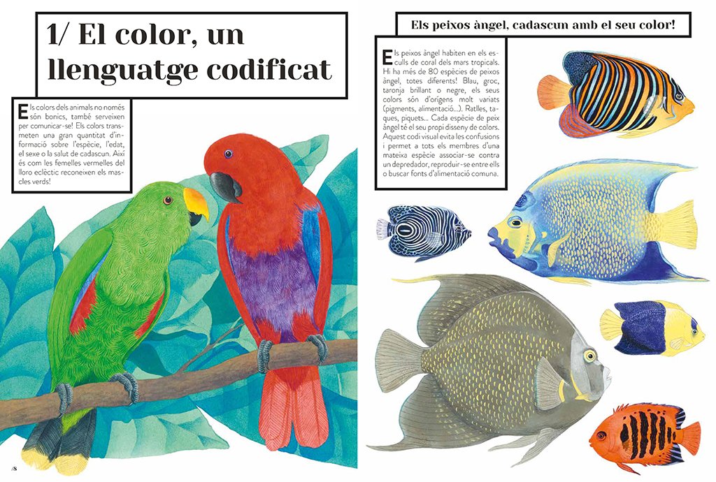 color animal