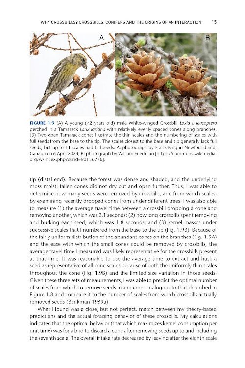 crossbills & conifers. one million years of adaptation and coevolution