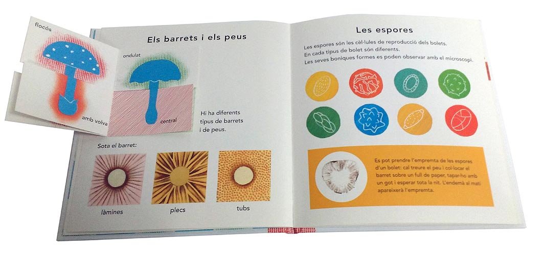 el bolet