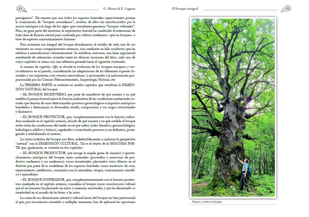 el bosque integral