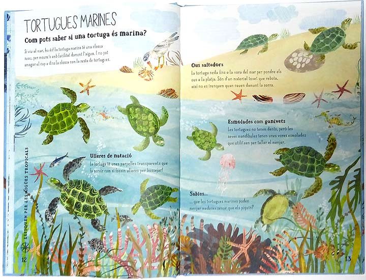 el gran llibre del mar