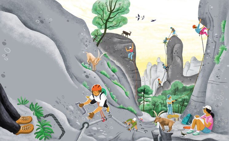 el llibre de les muntanyes catalanes