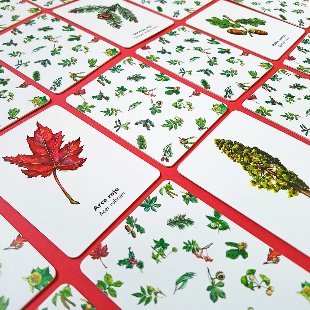 encuentra la hoja. juego de memoria