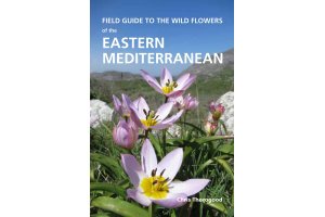 europe, north africa & the middle east