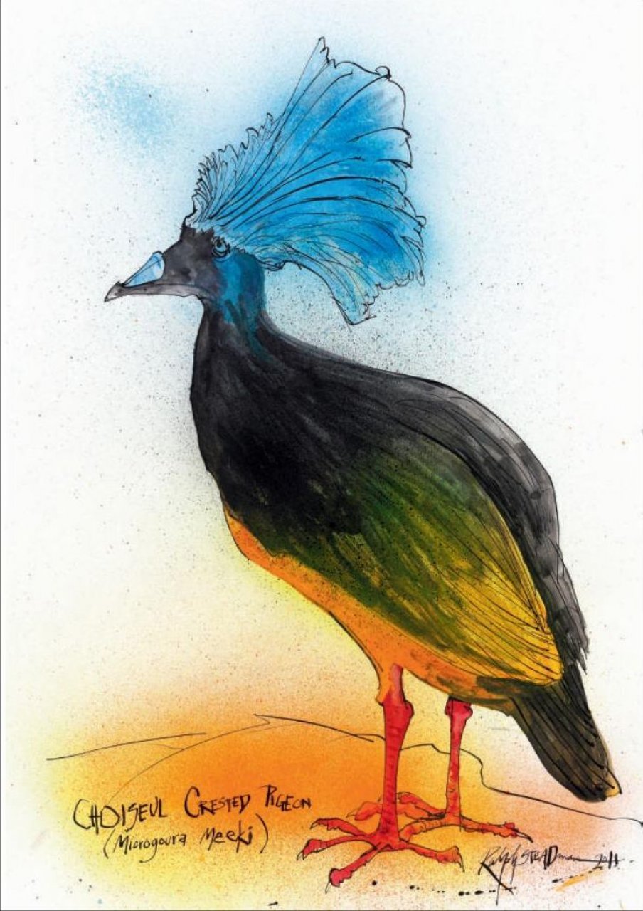 extinct boids