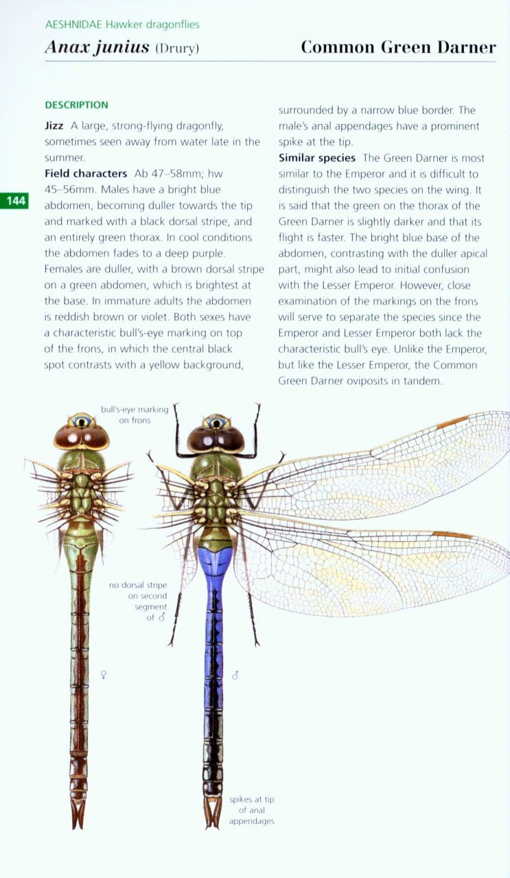 field guide to the dragonflies and damselflies of great britain and ireland
