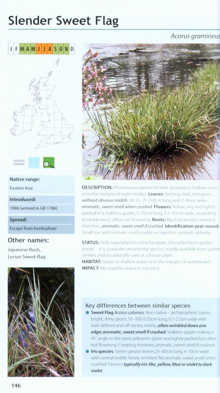 field guide to the invasive plants and animals in britain