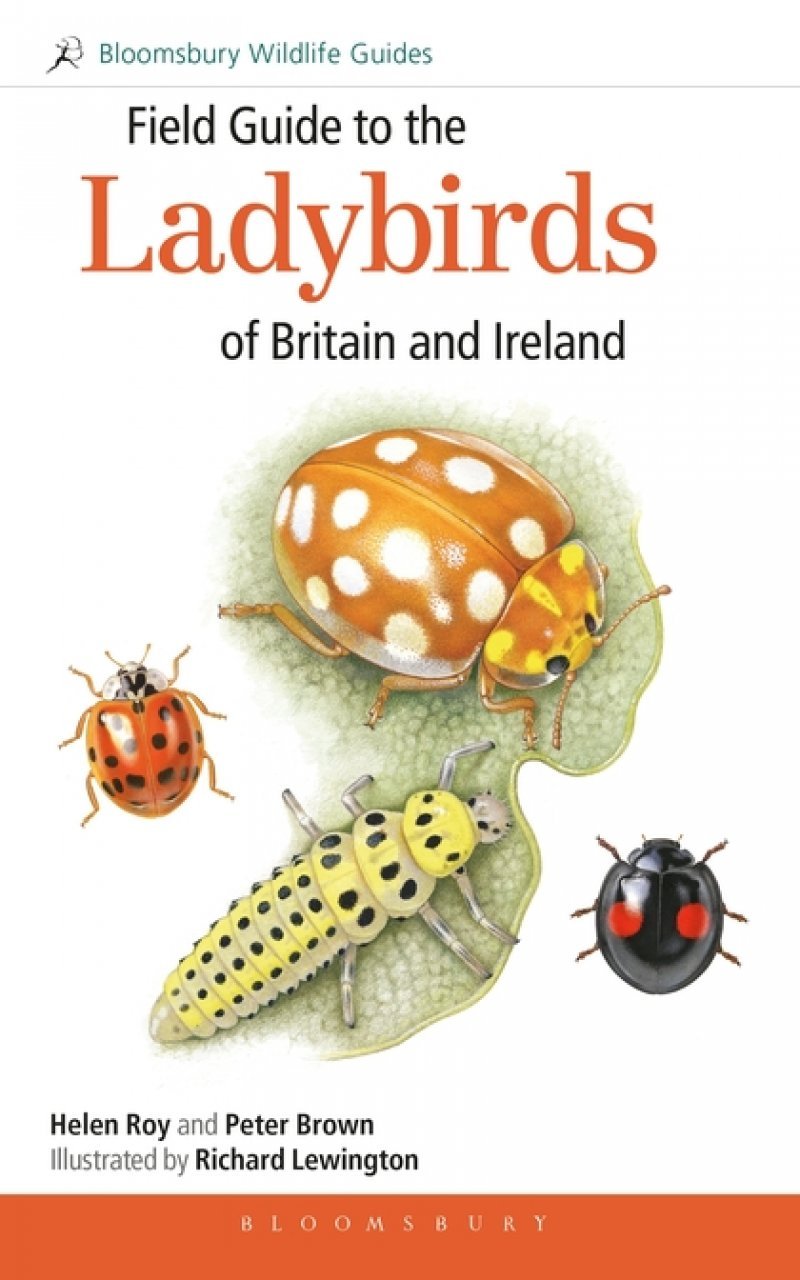 field guide to the ladybirds of britain and ireland