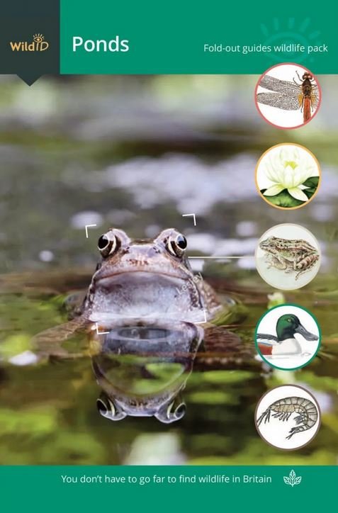fsc wildlife pack: ponds