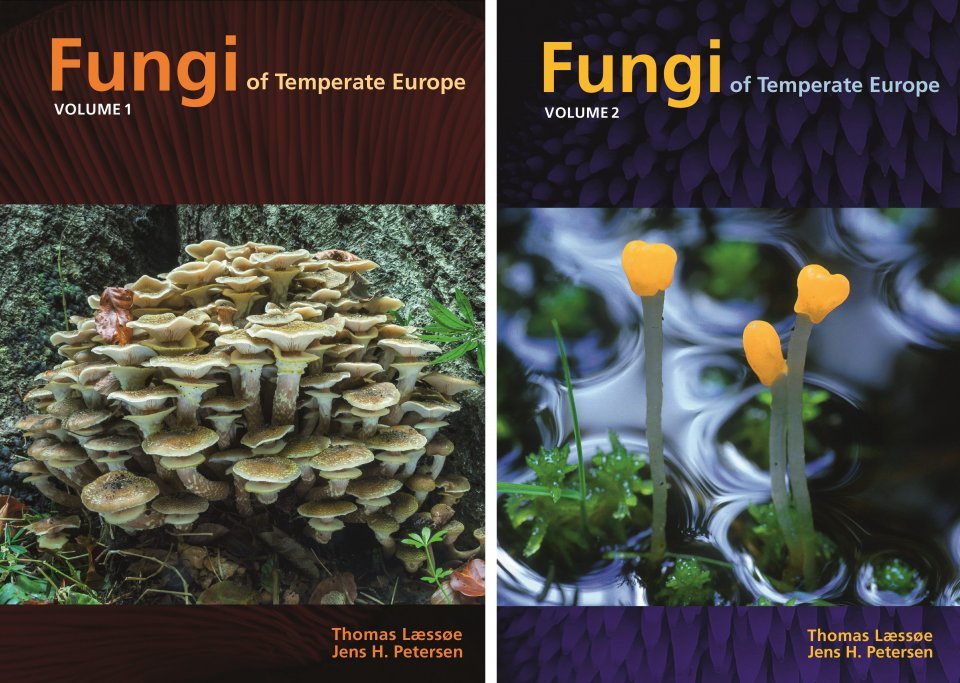fungi of temperate europe. 2 volume set