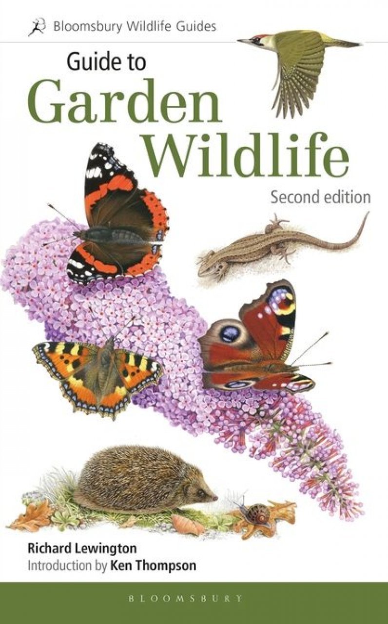 guide to garden wildlife