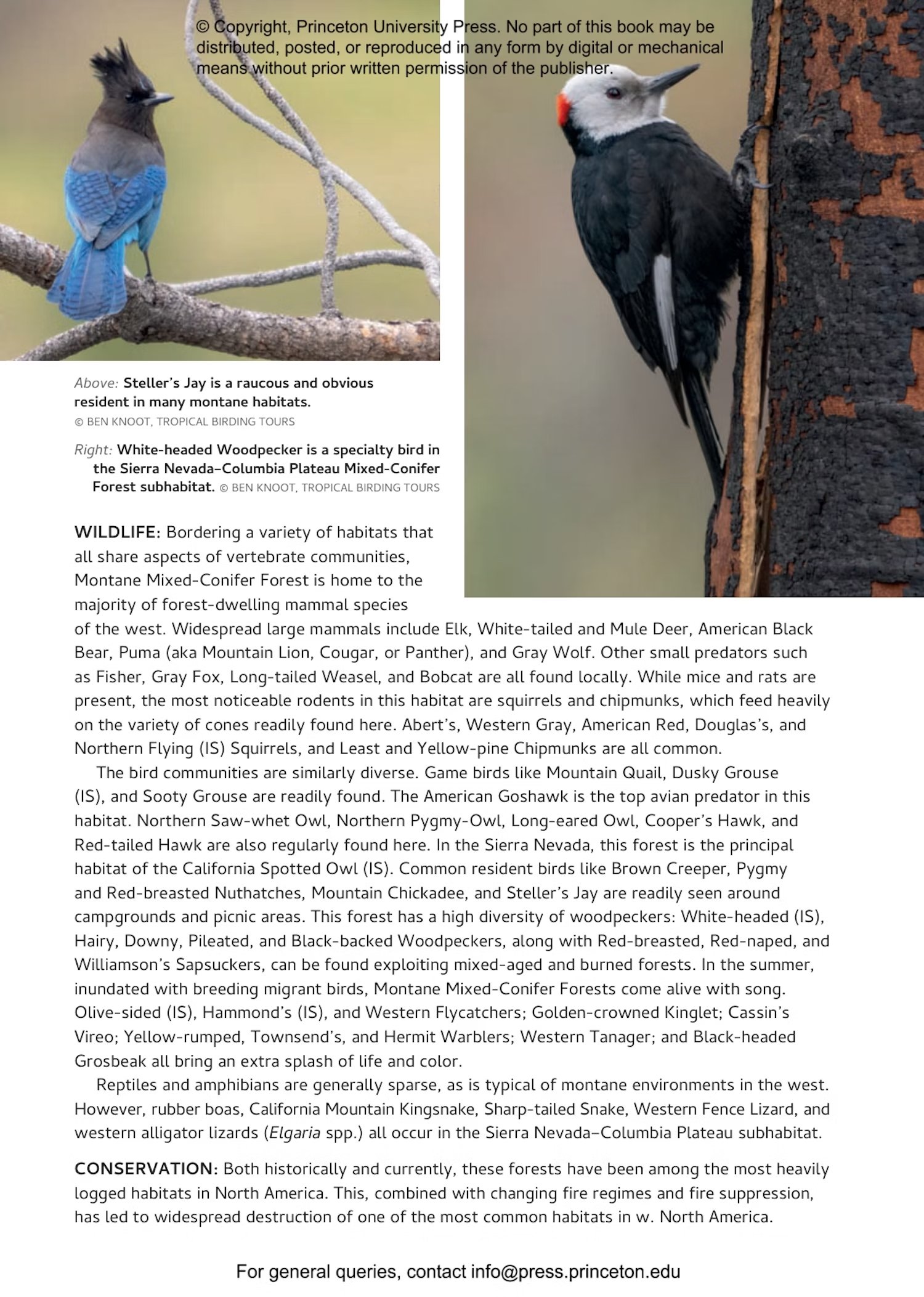 habitats of north america. a field guide for birders, naturalists and ecologists
