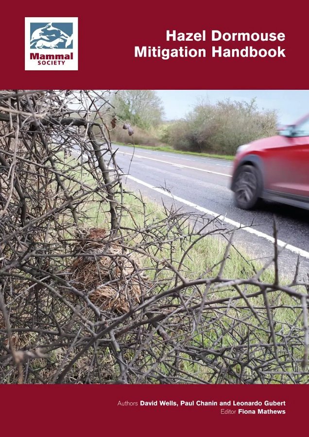hazel dormouse mitigation handbook