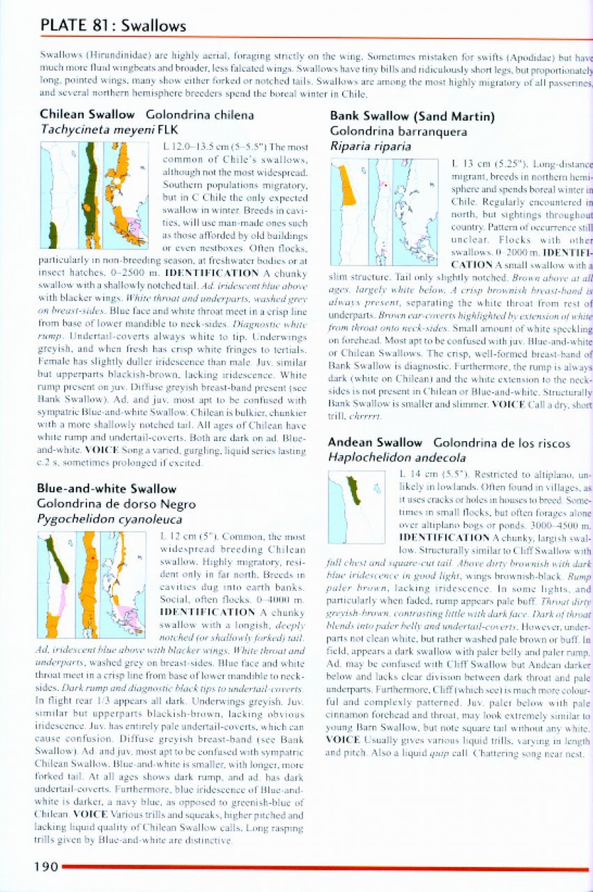 helm field guides. birds of chile including the antarctic peninsula, the falkland islands and south georgia