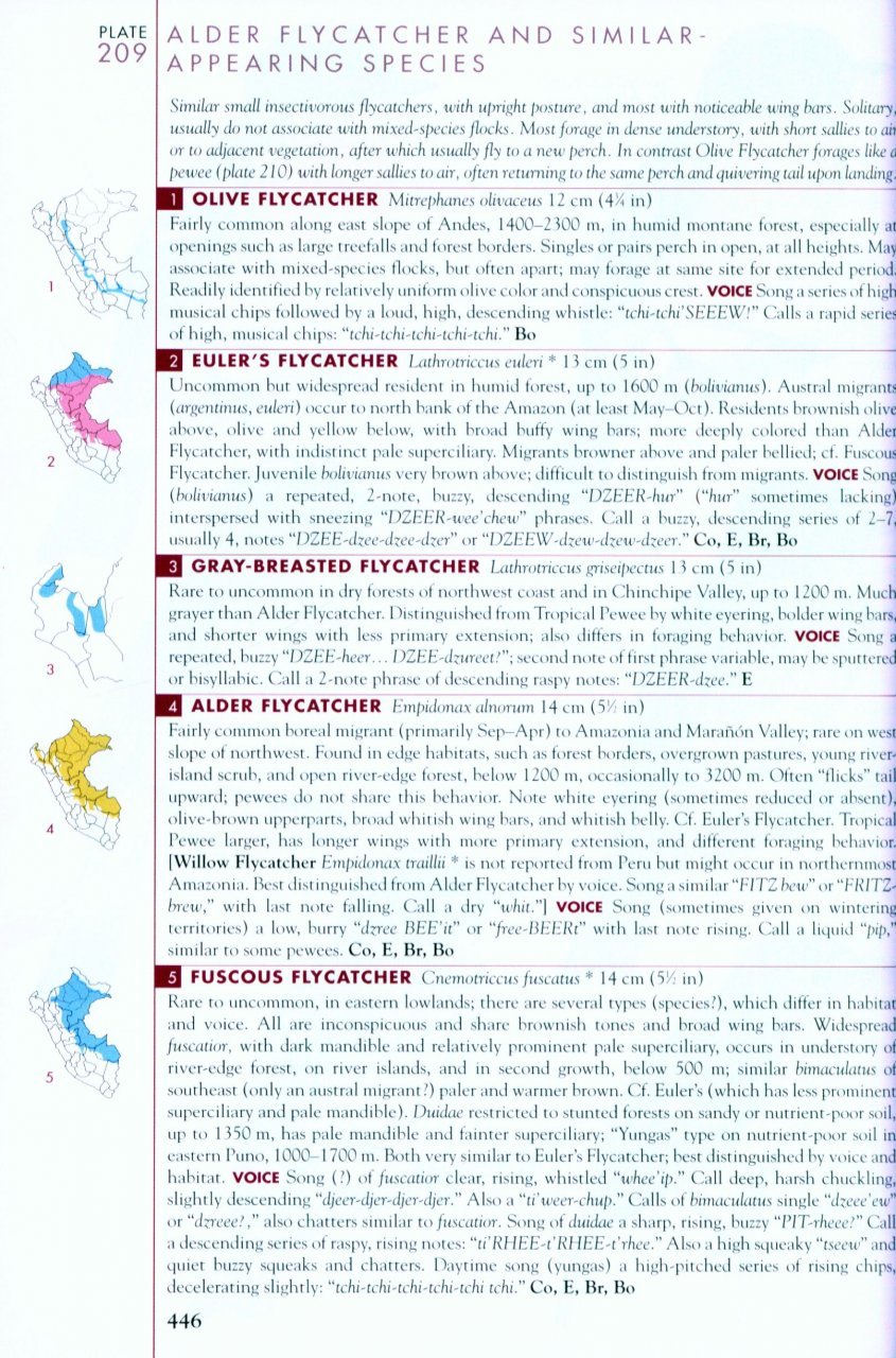 helm field guides. birds of peru