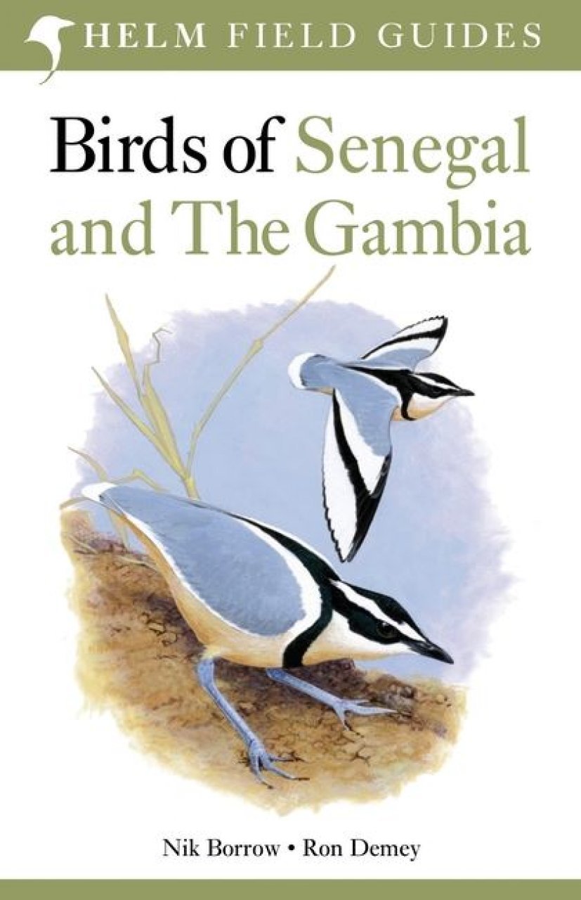 helm field guides. birds of senegal and the gambia