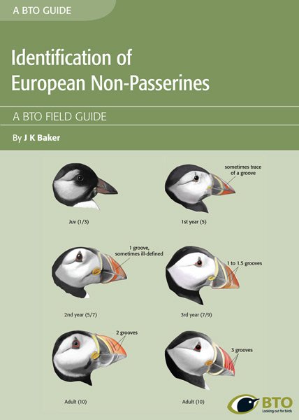 identification of european non-passerines
