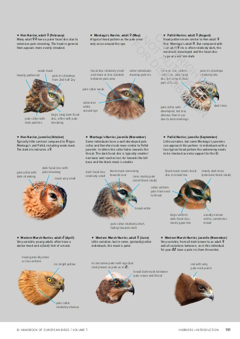 id handbook of european birds (2-volume set)
