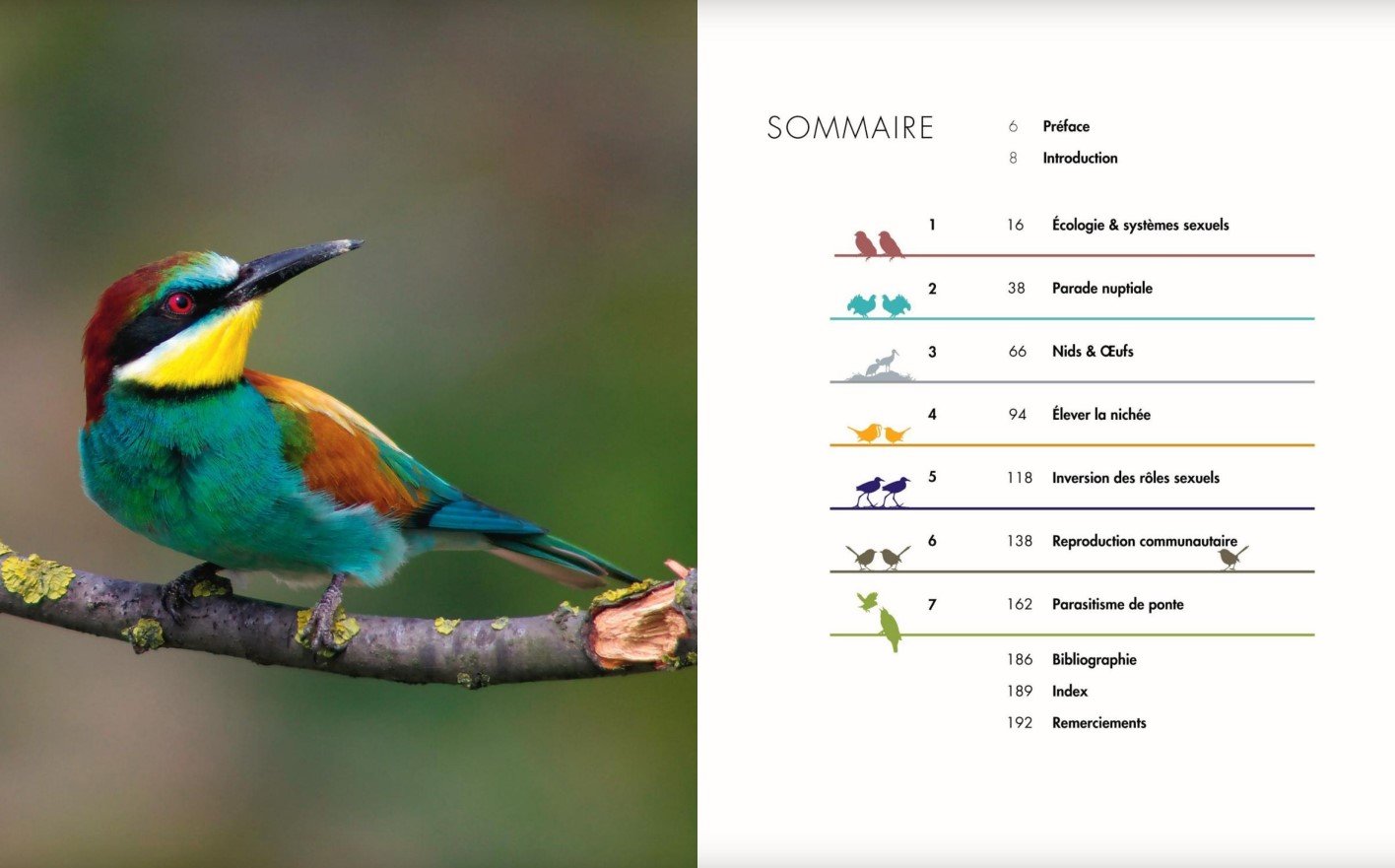 la vie amoureuse des oiseaux - etonnantes strategies de reproduction