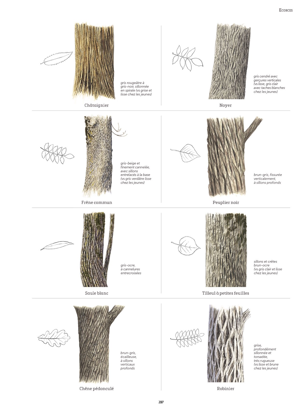 le grand livre de la nature