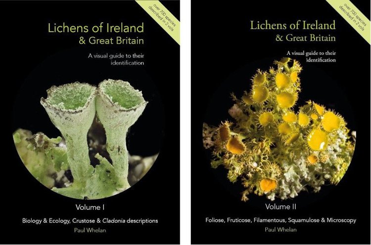 lichens of ireland & great britain: a visual guide to their identification (2 volume set)