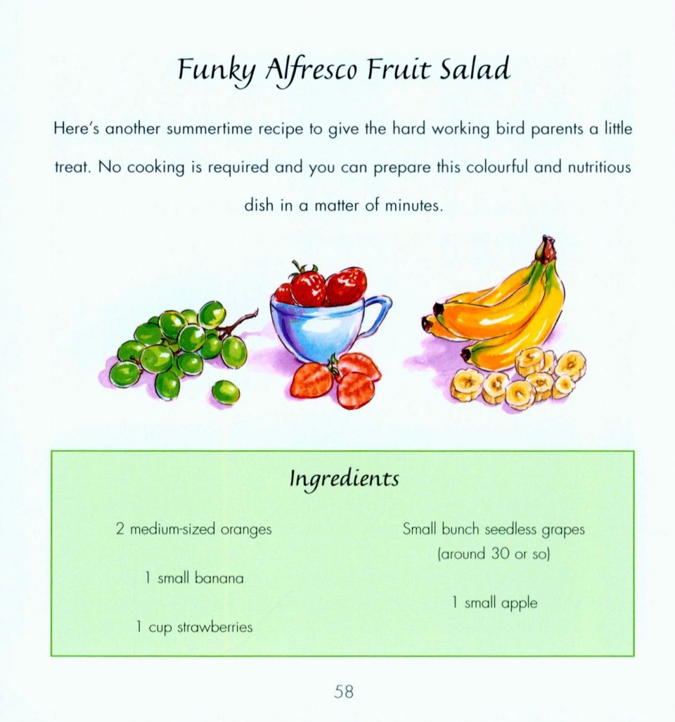make your own bird food