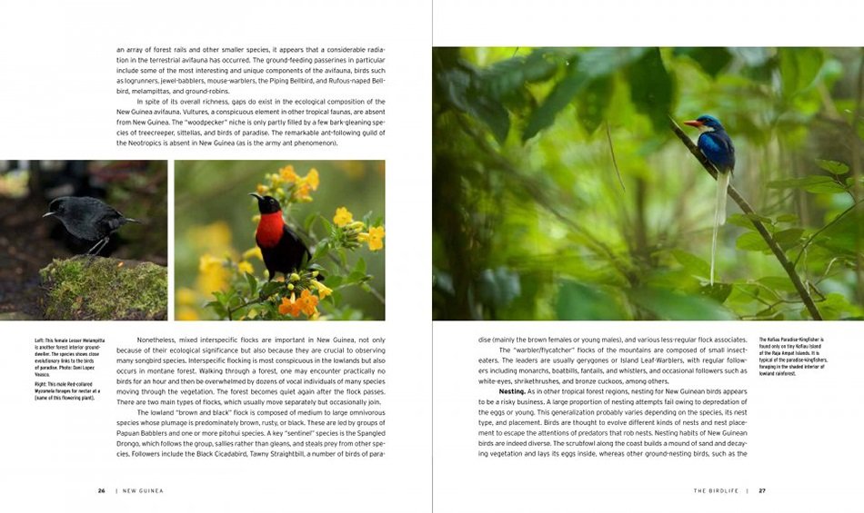 new guinea: nature and culture of earth's grandest island