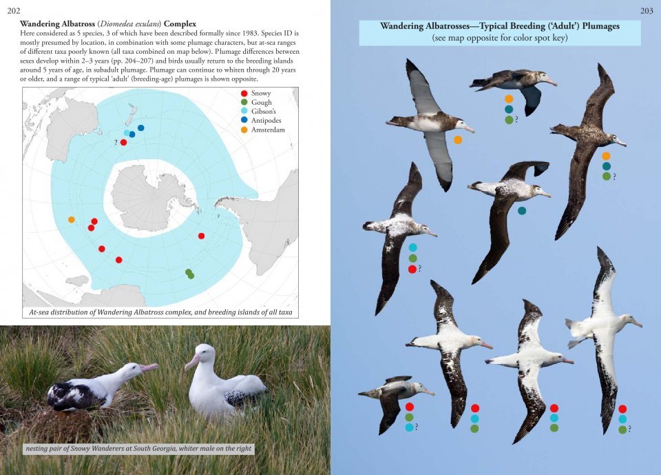 oceanic birds of the world